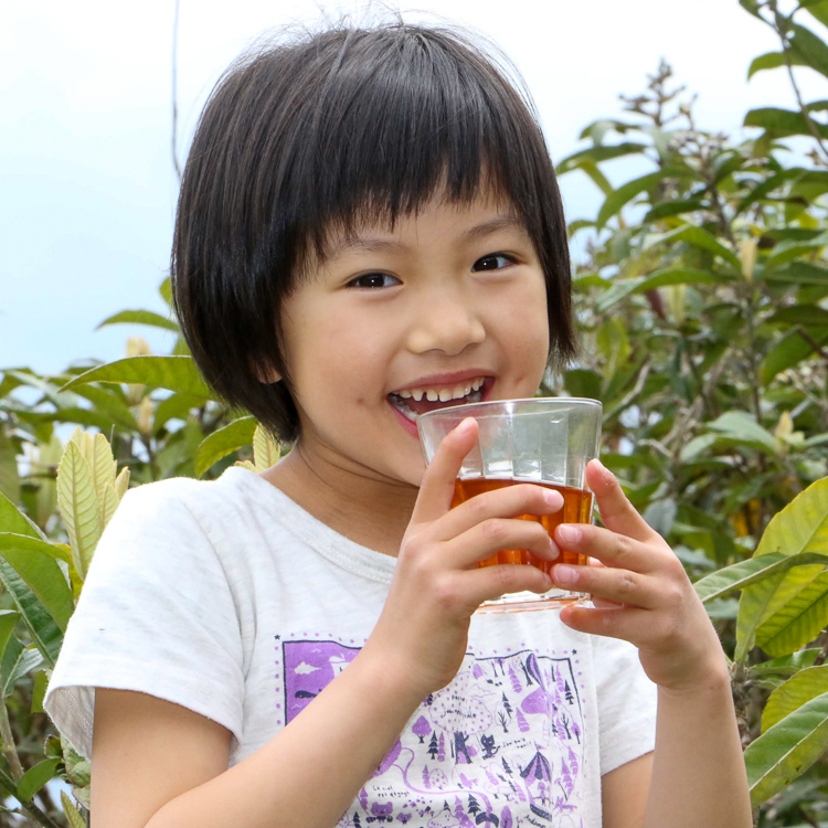 ねじめびわ茶について びわ茶といえば ねじめびわ茶 十津川農場