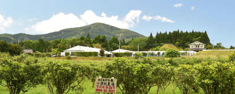 十津川農場