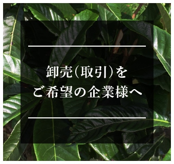 業務用卸売商品をご希望の方へ