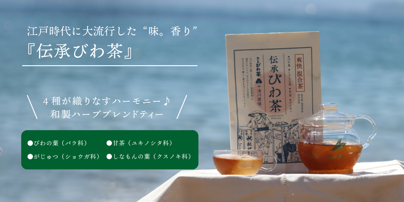 江戸時代に大流行した味、香り『伝承びわ茶』